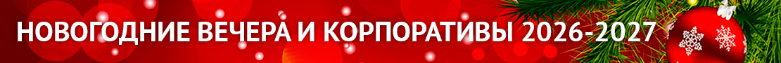 Новый год 2027